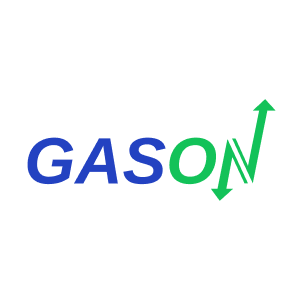 Логотип торговой сети GASON - информация о бренде, MCC кодах и промокодах