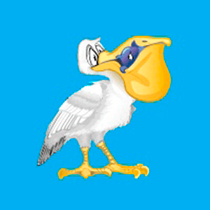 Пеликан